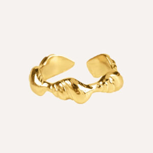 Anillo Concha