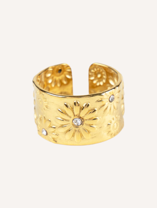 Anillo Marga
