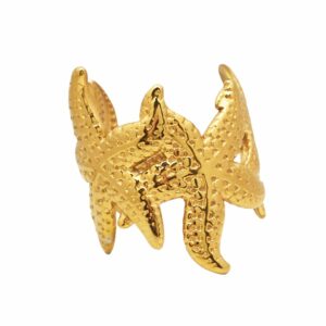Anillo Estrella
